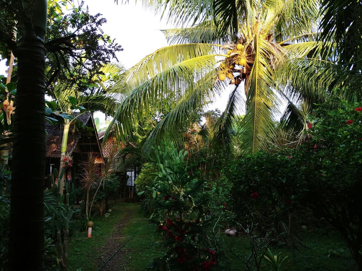 Reggae Guesthouse Panglao Exterior foto